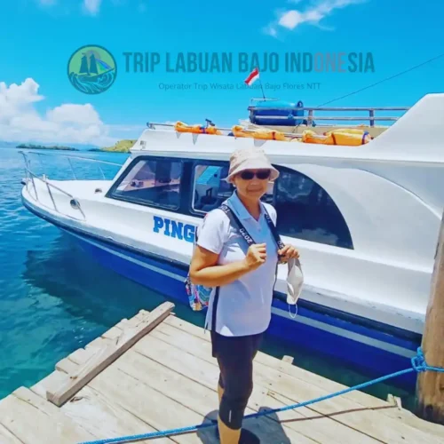 Ibu Retno Marsudi