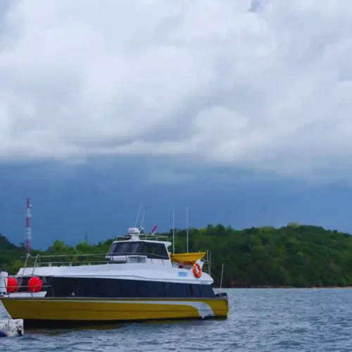 speed boat labuan bajo 20
