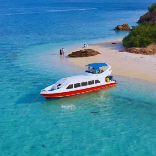 speed boat labuan bajo D1