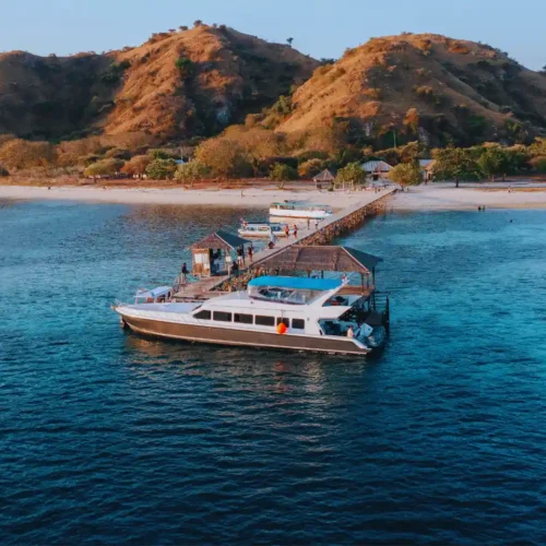 speed boat labuan bajo D2