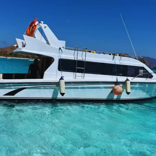 speed boat labuan bajo Manta