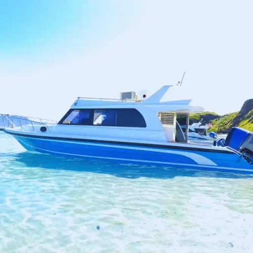 speed boat labuan bajo Pinguin 1