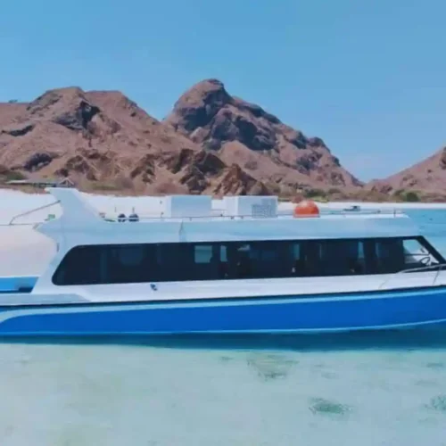 speed boat labuan bajo Pinguin 3