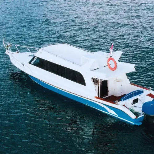 speed boat labuan bajo Pinguin 4