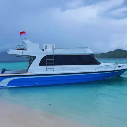 speed boat labuan bajo Pinguin 5