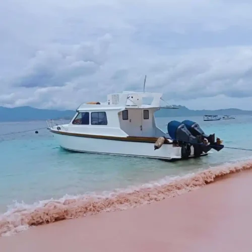 speed boat labuan bajo Shining